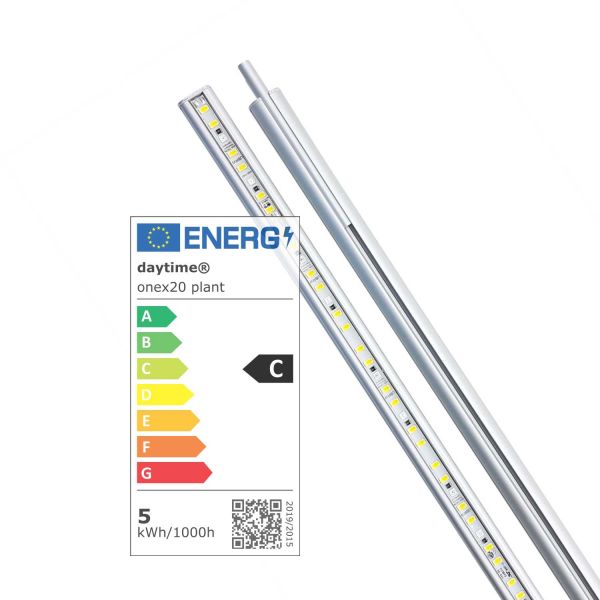 Onex Plant 20