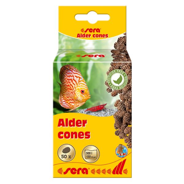 Sera Alder Cones - Erlenzapfen