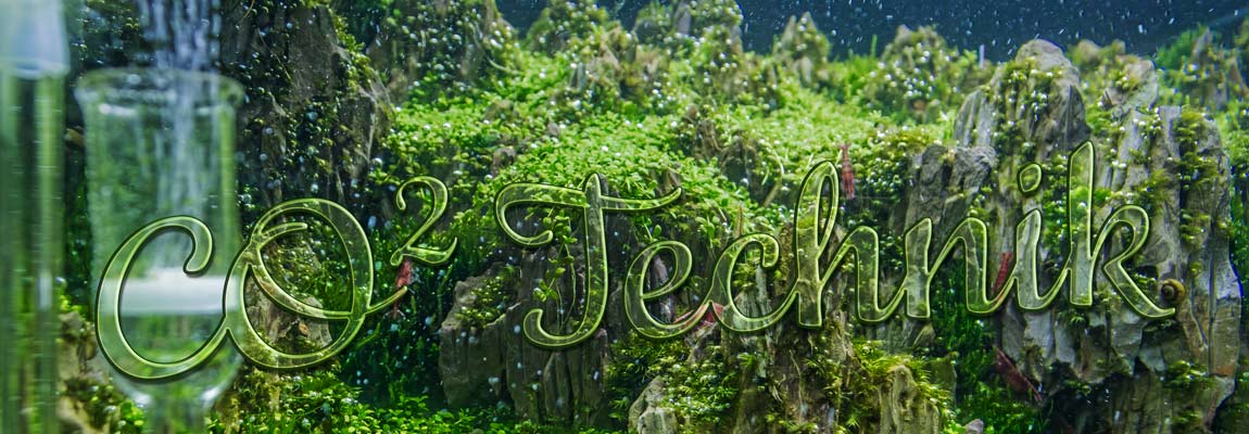 CO2 Technik im Aquarium