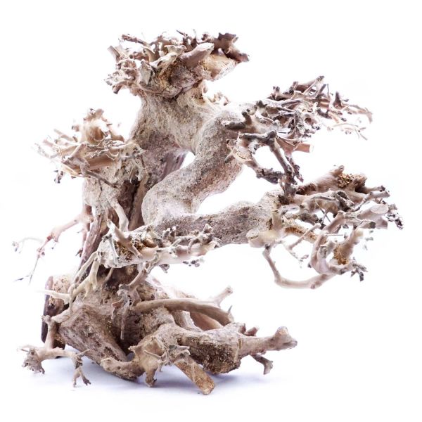 SuperFish Holz Bonsai Treibholz (Größe M)