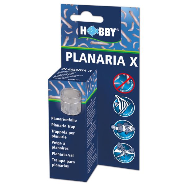 Hobby Planaria X - Planarienfalle