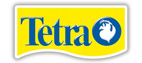 Tetra