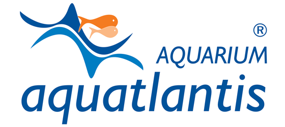 Aquatlantis