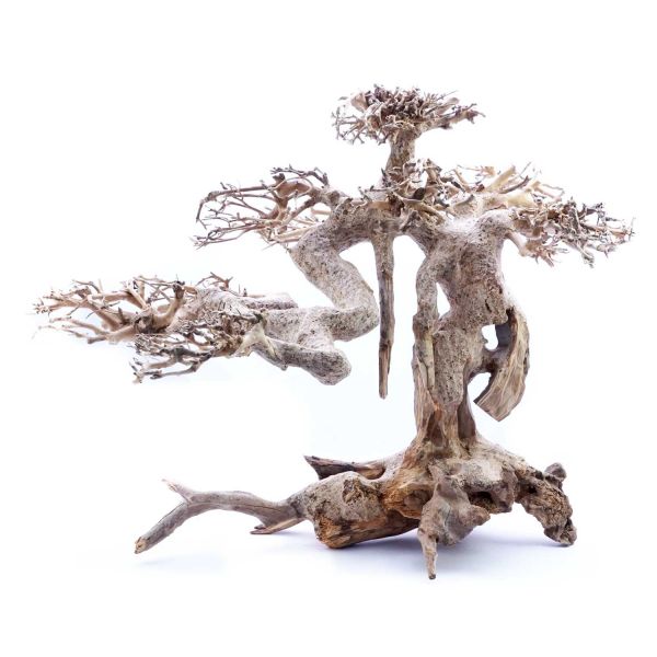SuperFish Holz Bonsai Treibholz (Größe L)
