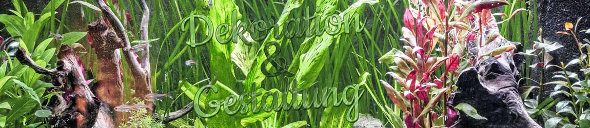 Dekoration & Gestaltung