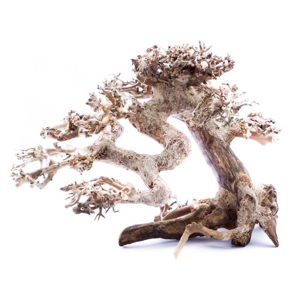 SuperFish Holz Bonsai Treibholz (Größe S)